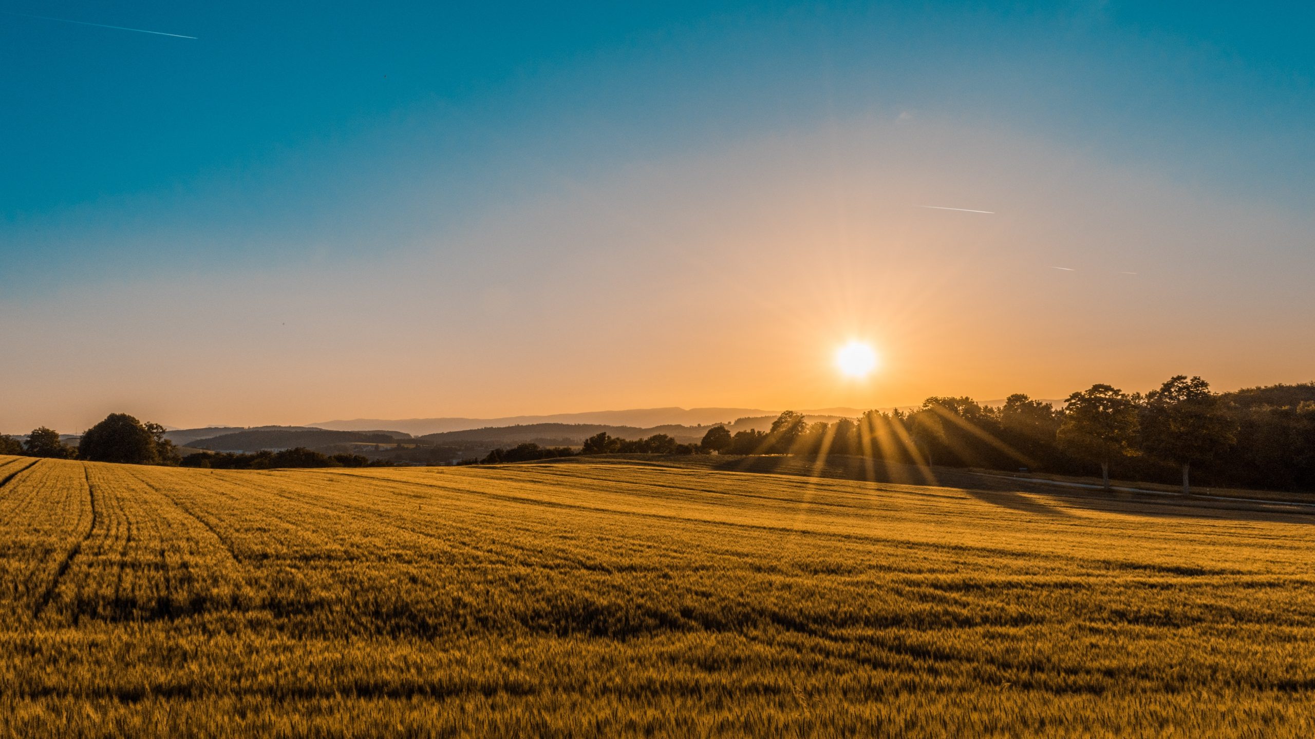 A green field with hills in the background at sunset.