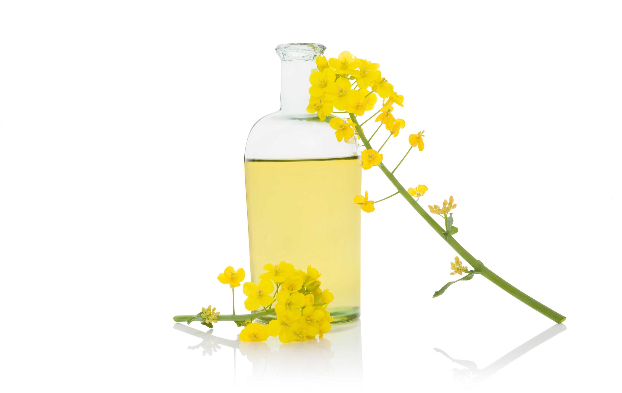 High Erucic Acid Rapeseed (HEAR) - Perdue