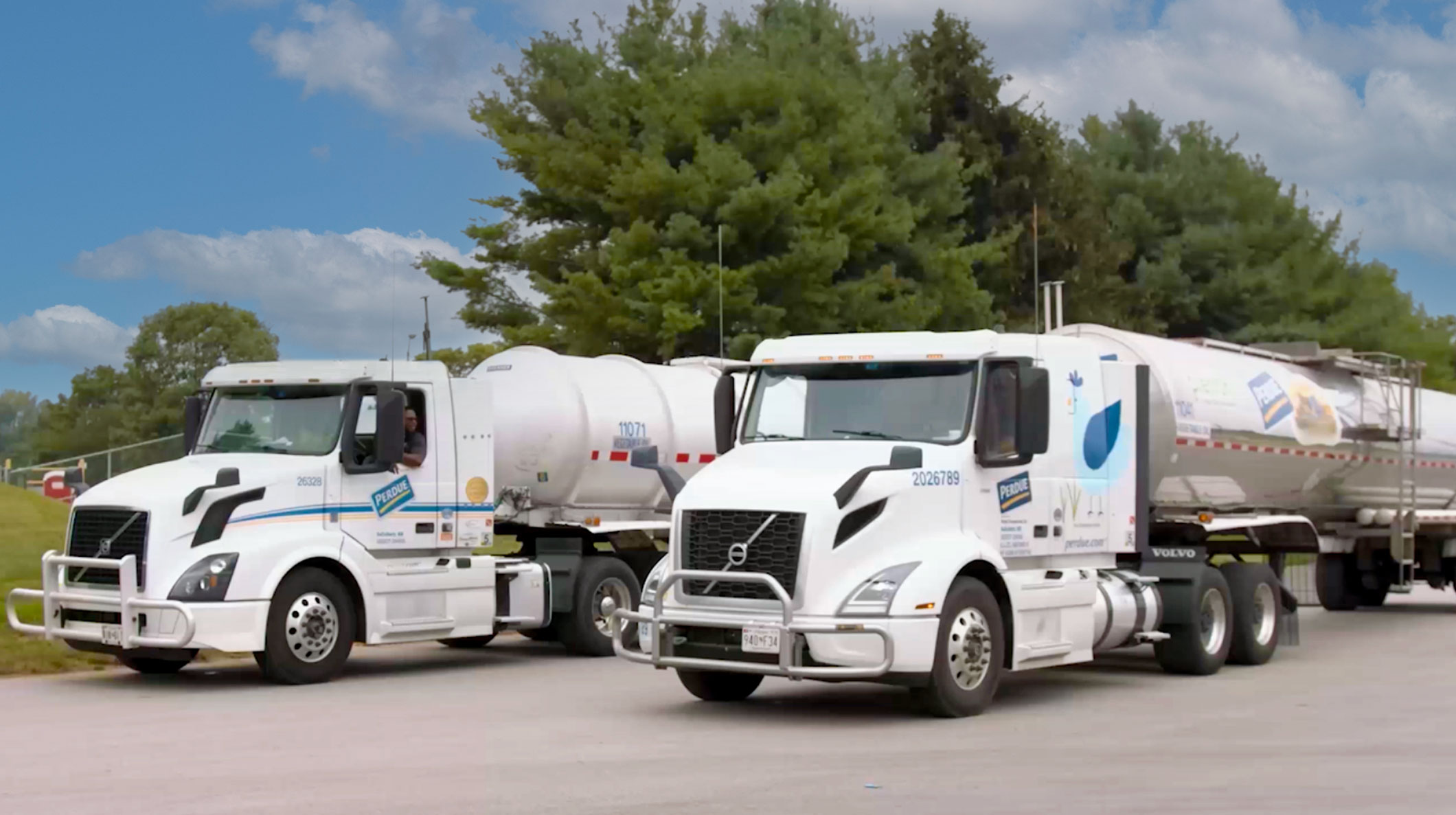 Two Perdue oil trucks on pavement next to trees.